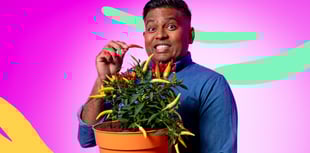 Devon chillies fire up new children's BBC series